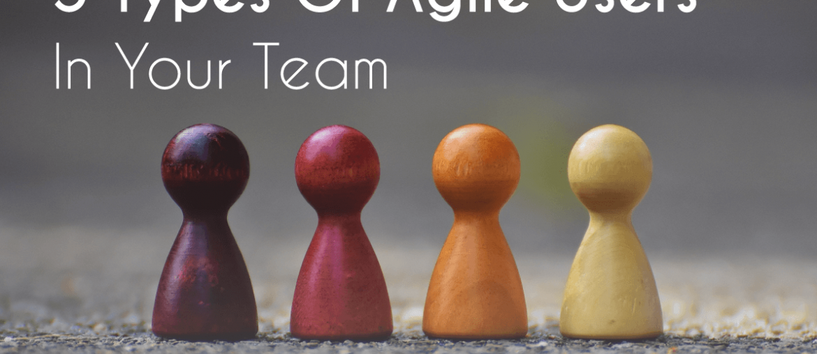 agile, 5 Types Of Agile Users In Your Team, Eylean Blog, Eylean Blog